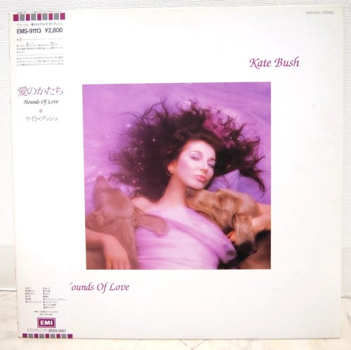 Kate bush hounds of - bush, love