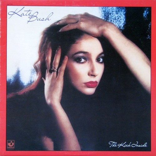 Kate bush the kick - bush,