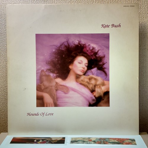 Kate bush hounds - bush,
