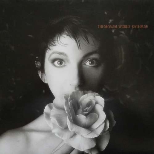 Kate bush the sensual - -,