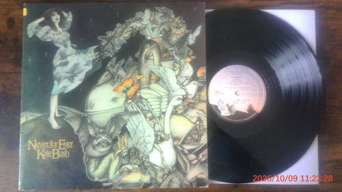 Kate bush never for - -,