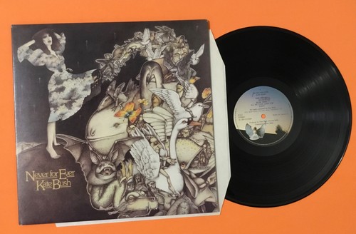 Kate bush never for - kate,