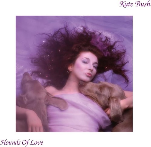 Kate bush hounds - bush, love