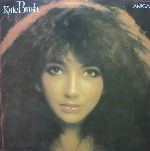 Kate bush lp - bush,