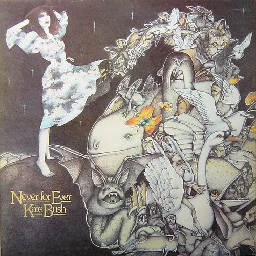 Kate bush never - bush,