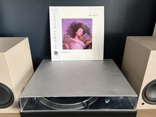 Kate bush hounds - bush, love