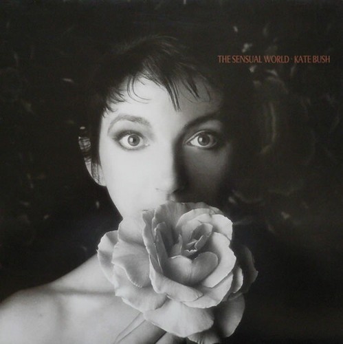 Kate bush the sensual - bush,