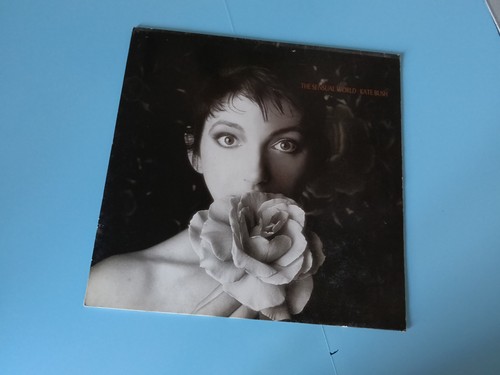 The sensual world kate - sensual,