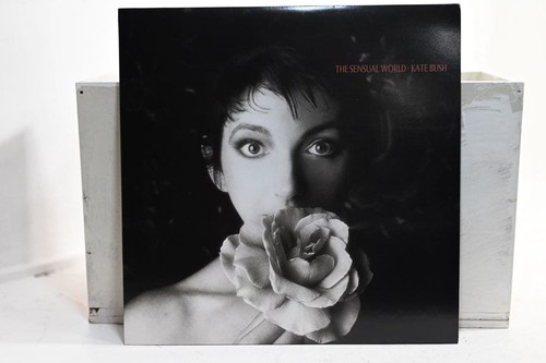Vinile kate bush the - in,