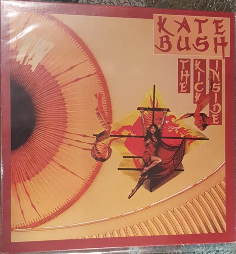 Kate bush the kick - kate,
