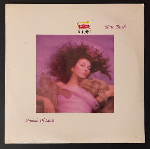 Kate bush hounds - kate,