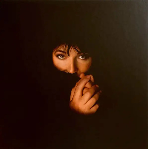 Box kate bush remastered - lp-box, in