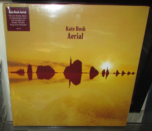 Kate bush aerial - aerial, uk