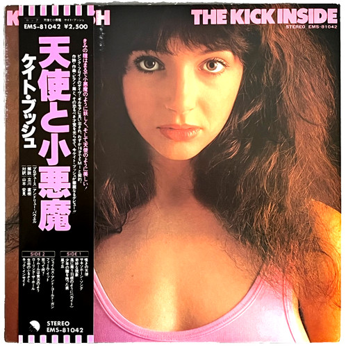 Kate bush the kick - bush, lp