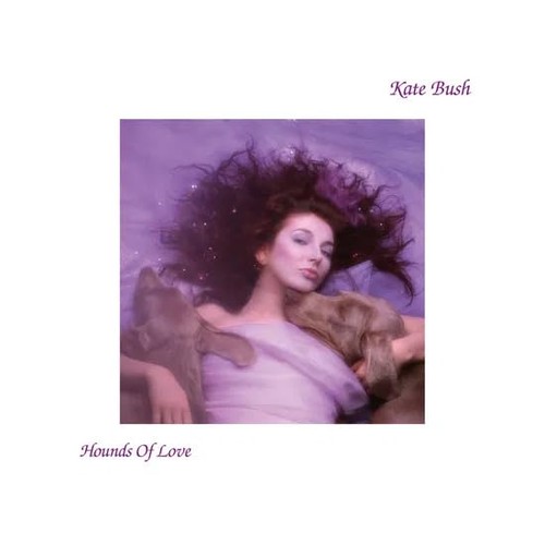Kate bush hounds love - bush,
