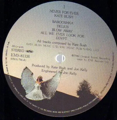 Kate bush never for - lp,