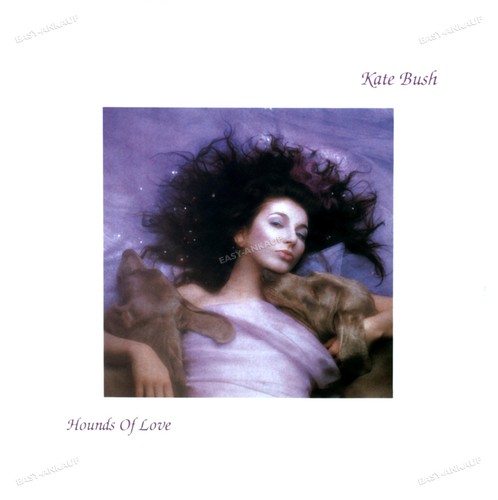 Kate bush hounds - kate,