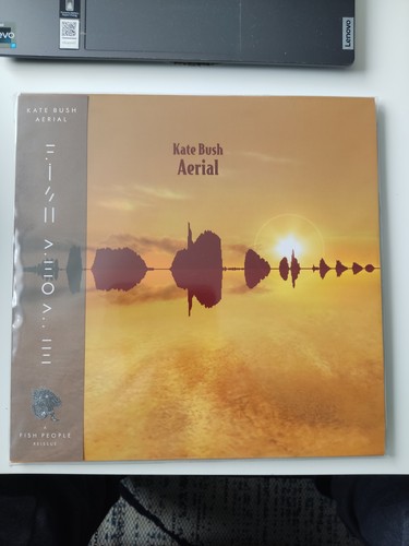 Kate bush aerial 2lp - kate,