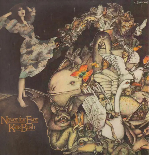 Kate bush never for - kate,