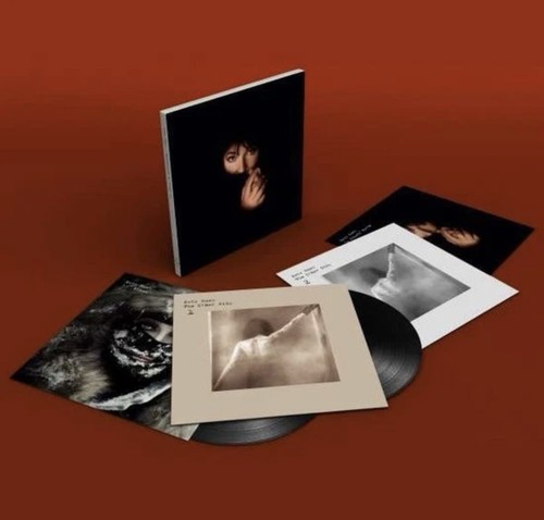 Kate bush remastered vinyl - kate, bush-