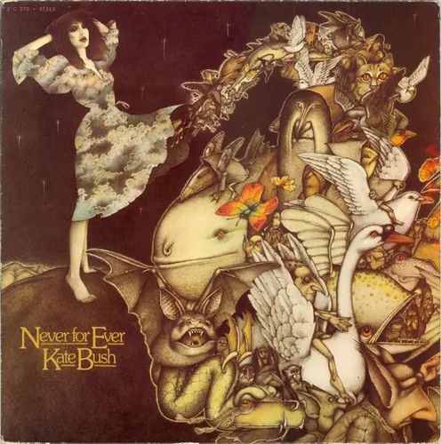 Kate bush never - bush, ever