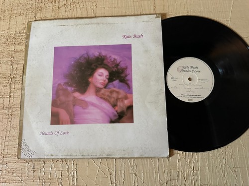 Kate bush hounds of - bush, love