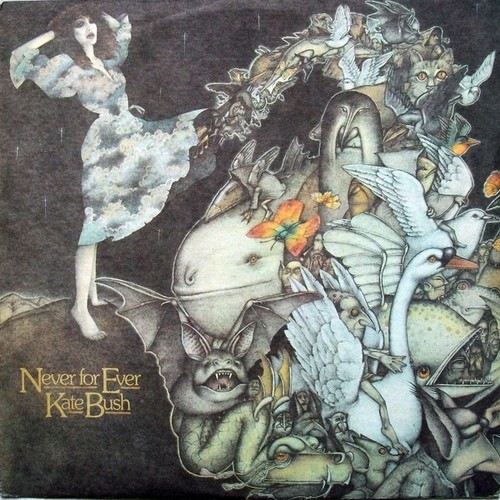 Kate bush never for - bush,