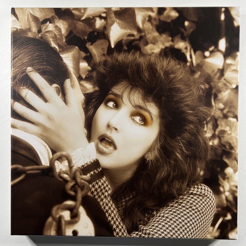 Kate bush remastered in - -,