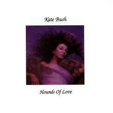 Hounds love von bush kate - bush,,