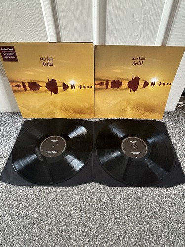 Kate bush aerial 2005 - kate,