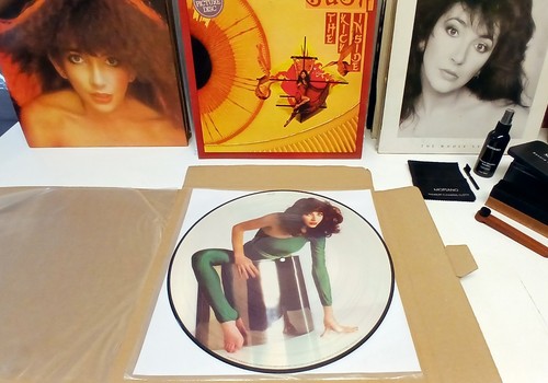 Kate bush the - kick, inside
